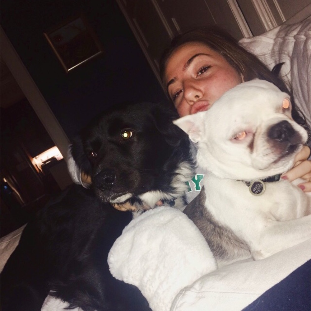 Meet your Posher, Sophie